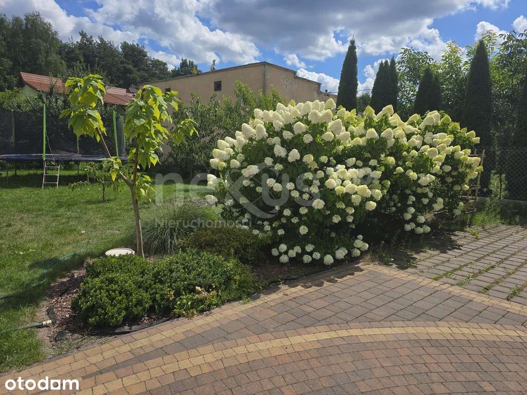 Dom parterowy  – duży ogród, taras, warsztat-14