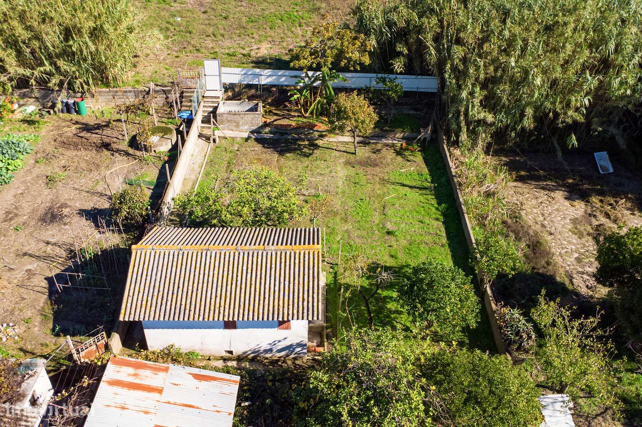 Terreno Rústico, Caparica - Grande imagem: 5/12