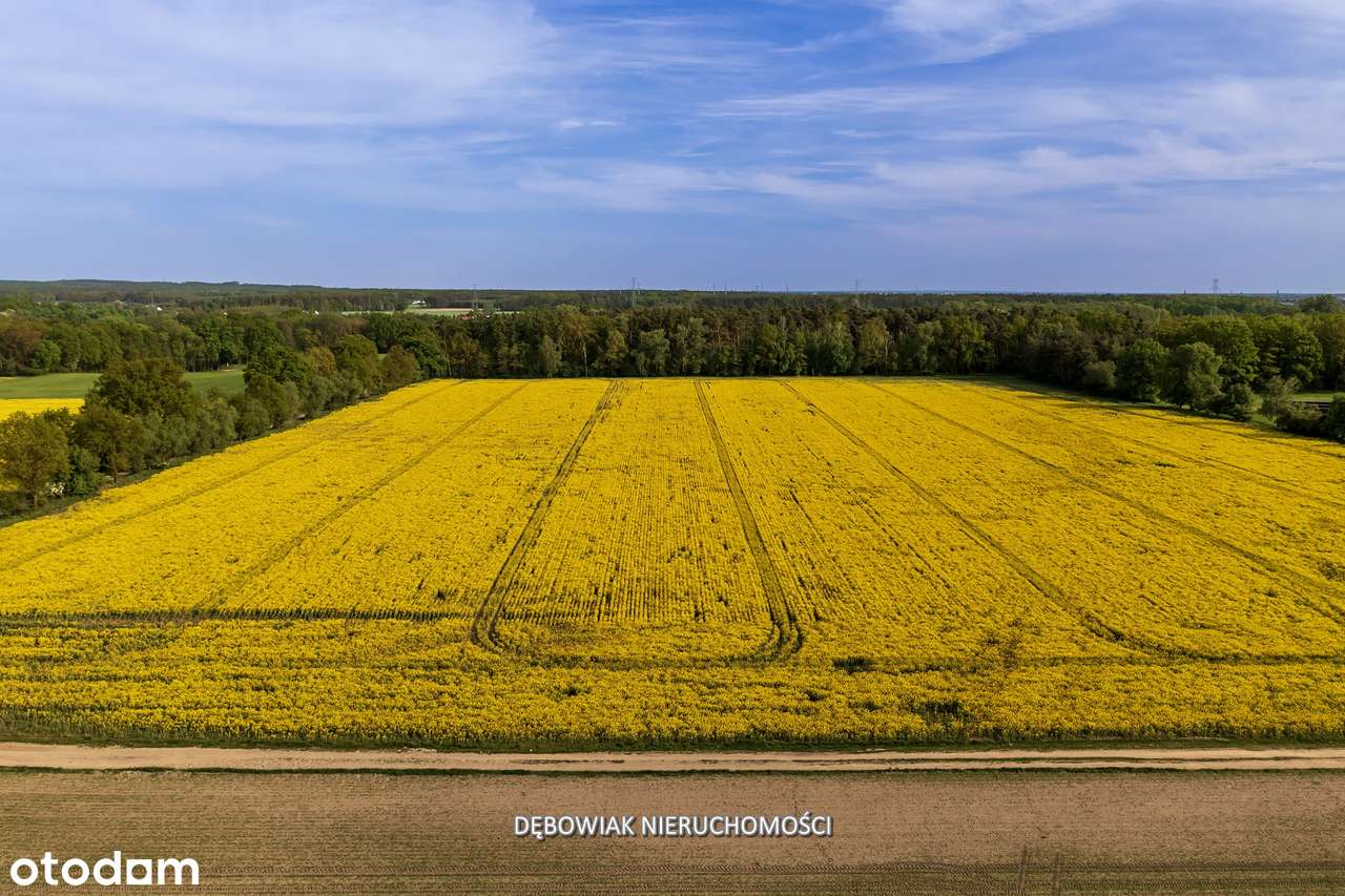 II etap sprzedaży / Atrakcyjne nowe osiedle w Gronówku / blisko Leszna-14