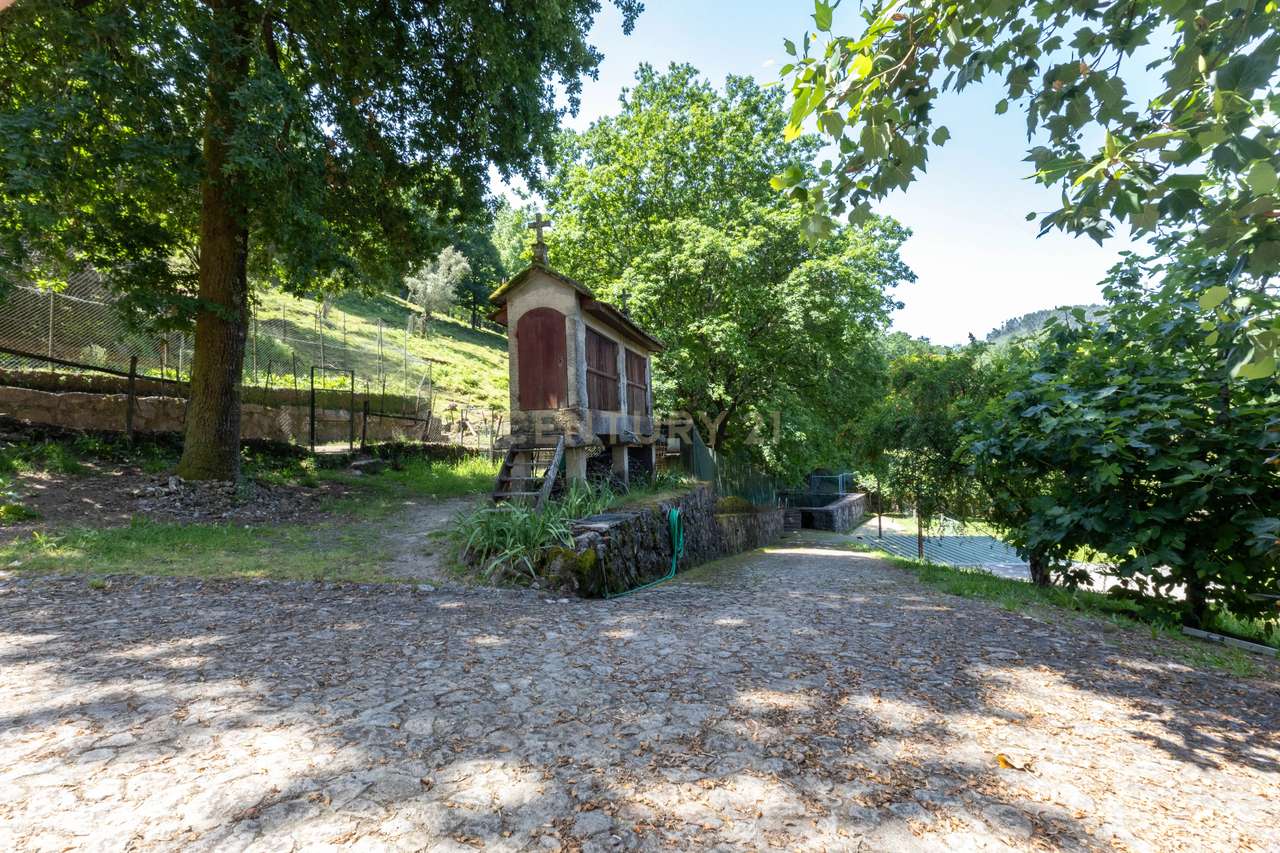 Quinta de Luxo de Vinho e Natureza com Potencial de Expansão perto do-31