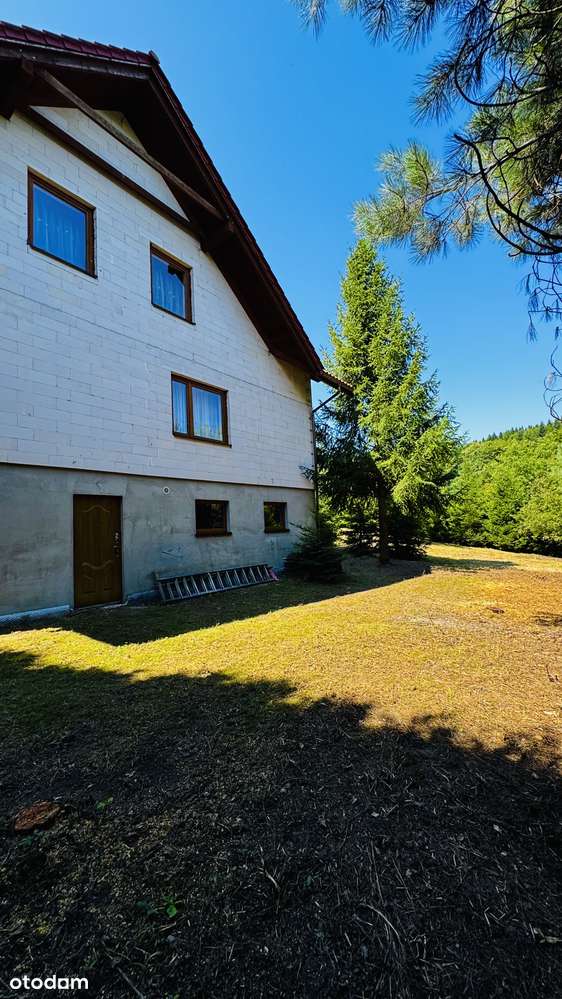 Dom z własnym pięknym mikro lasem na dużej działce 1772 m2 BRENNA-7