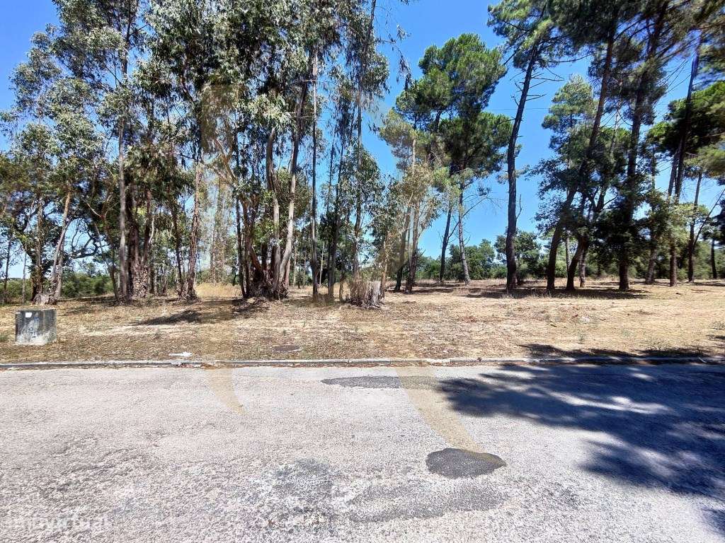 Venda conjunta de 105 lotes de terreno na Urbanização Pinhal de Neg...-5