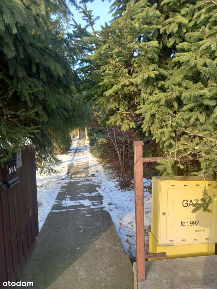 Wolnostojący dom w zielonym otoczeniu - Pełny obrazek: 5/19