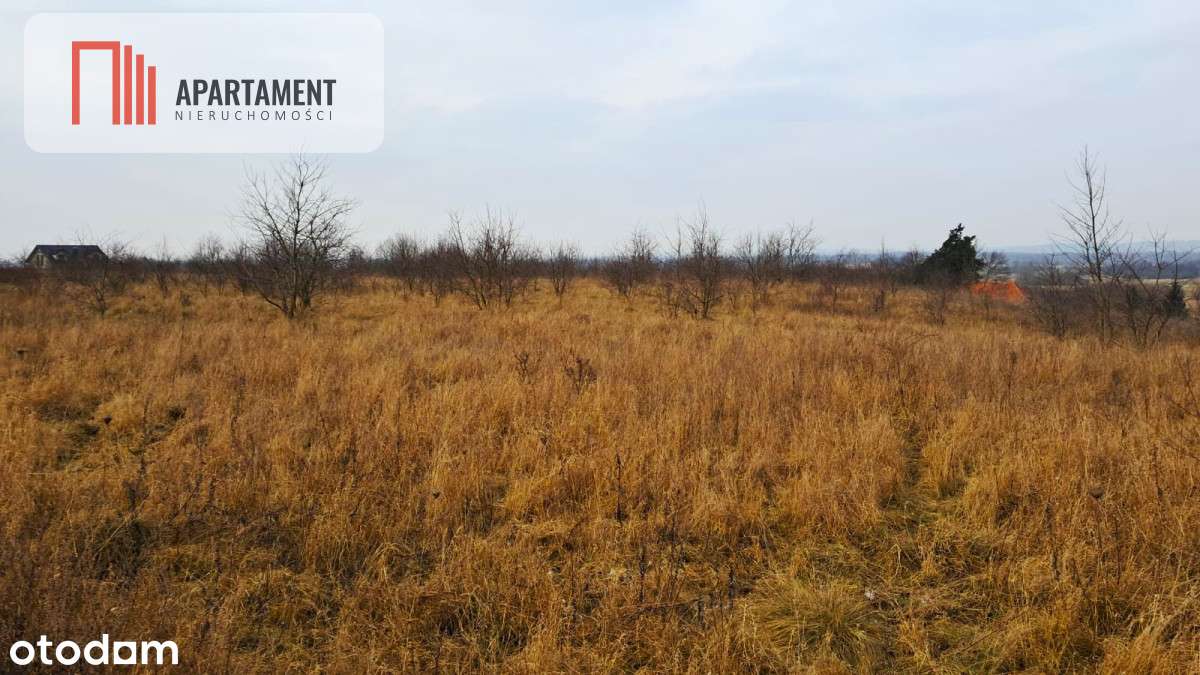 Tylko u nas. Działka z warunkami zabudowy! - Pełny obrazek: 4/4