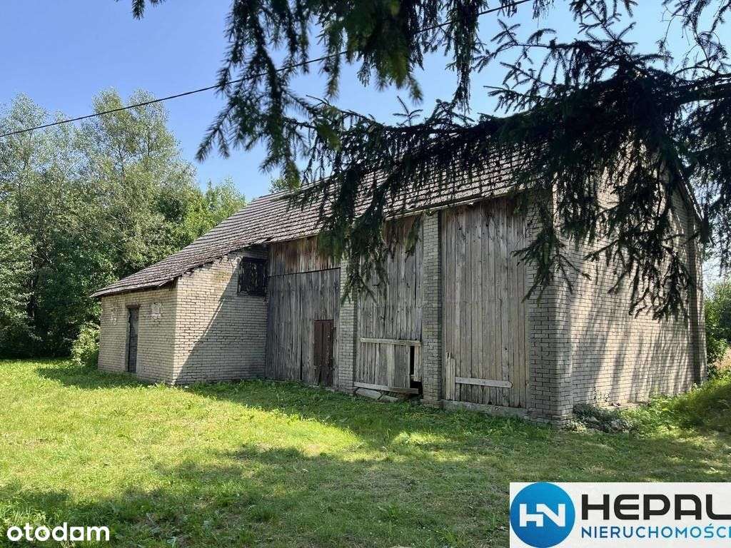 Działka Zborów, gm. Solec Zdrój - Pełny obrazek: 4/10