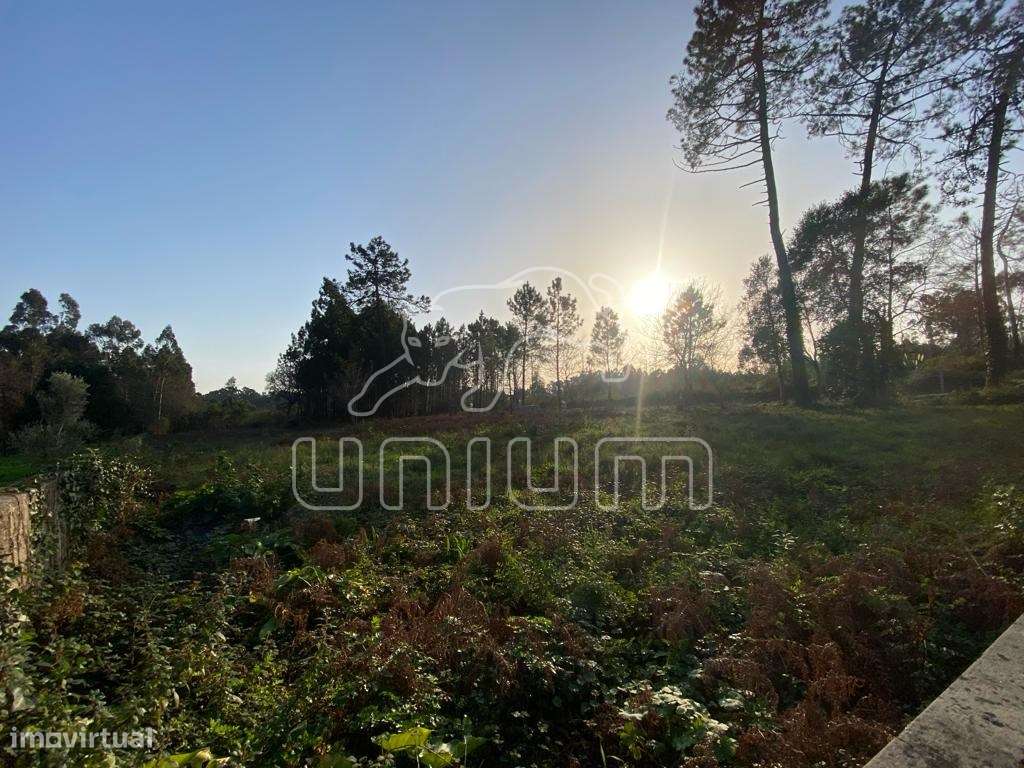 Terreno Vila Fria - Grande imagem: 3/8