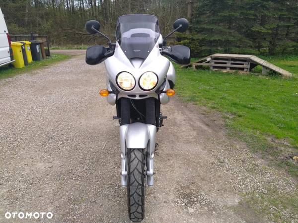 Triumph Tiger - 20