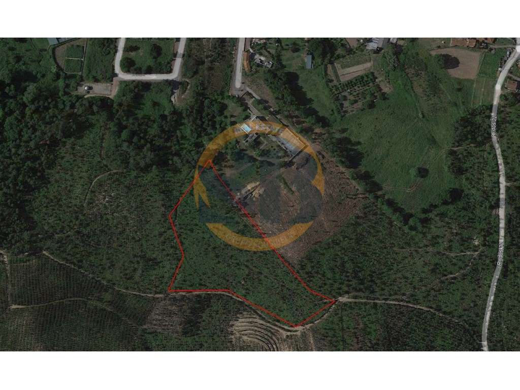 Terreno Florestal Oliveira de Azeméis - Grande imagem: 1/1