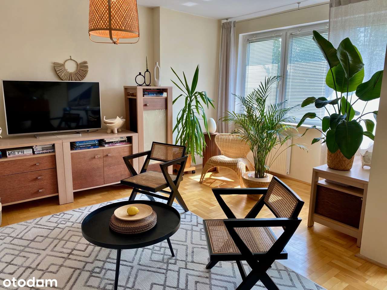 ZADBANY szereg WIDOK na zieleń DUŻY ogród Garaż 6 km MORZE i Centrum! - Pełny obrazek: 4/19