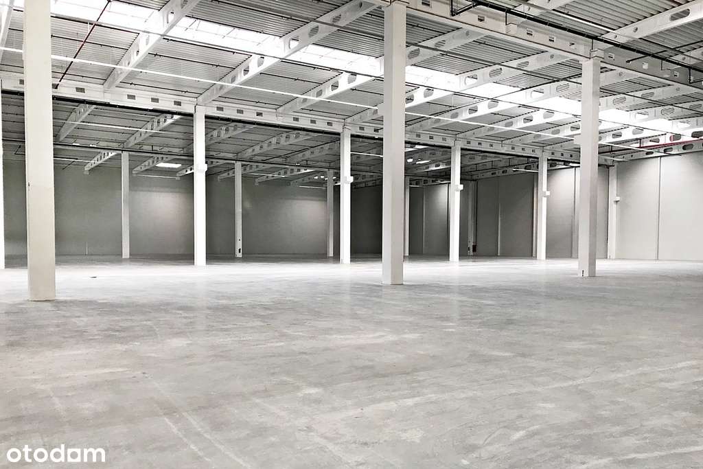 Powierzchnia magazynowa klasy A, blisko węzła S14 - Pełny obrazek: 4/4