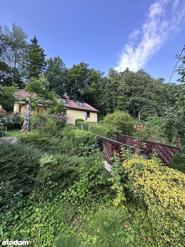 Dom jednorodzinny z dużym ogrodem - Staniszów - Pełny obrazek: 4/20