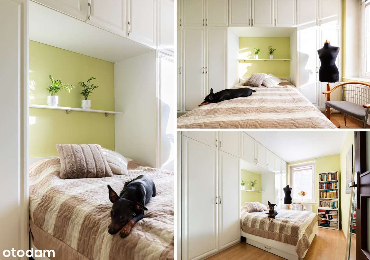 2-POKOJOWE MIESZKANIE NA I PIĘTRZE W CENTRUM KOSZALINA-2