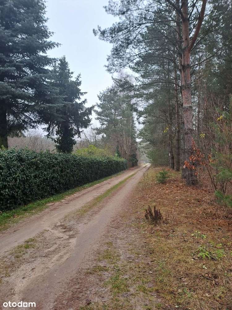Działka budowlana w Zofiówce, idealna na wypoczynek blisko Łodzi-8