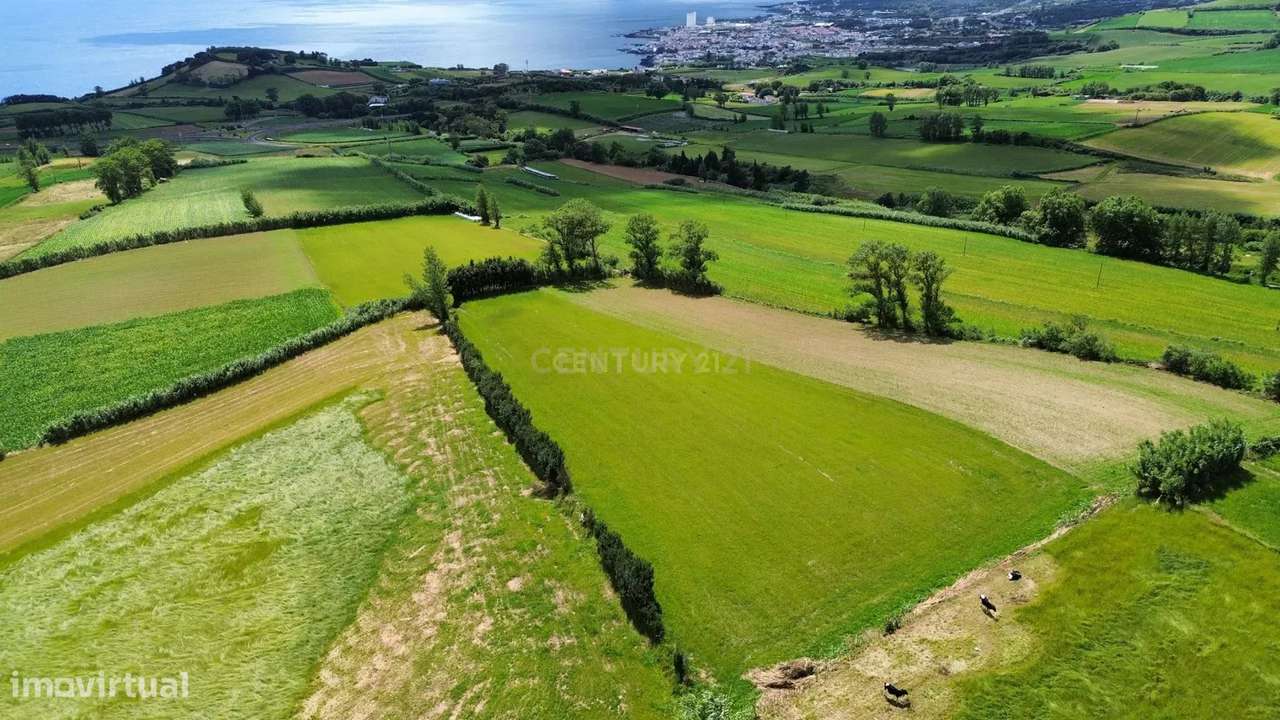 Terreno Rustico - Grande imagem: 4/5