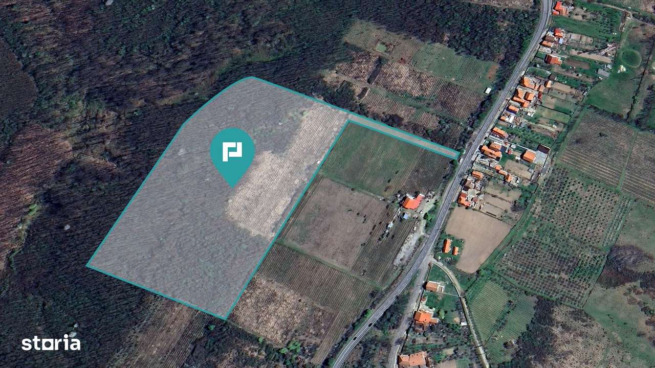 Teren de vânzare – 5,47 ha | Dealul Viilor, Lugoj - Imagine principală: 3/4