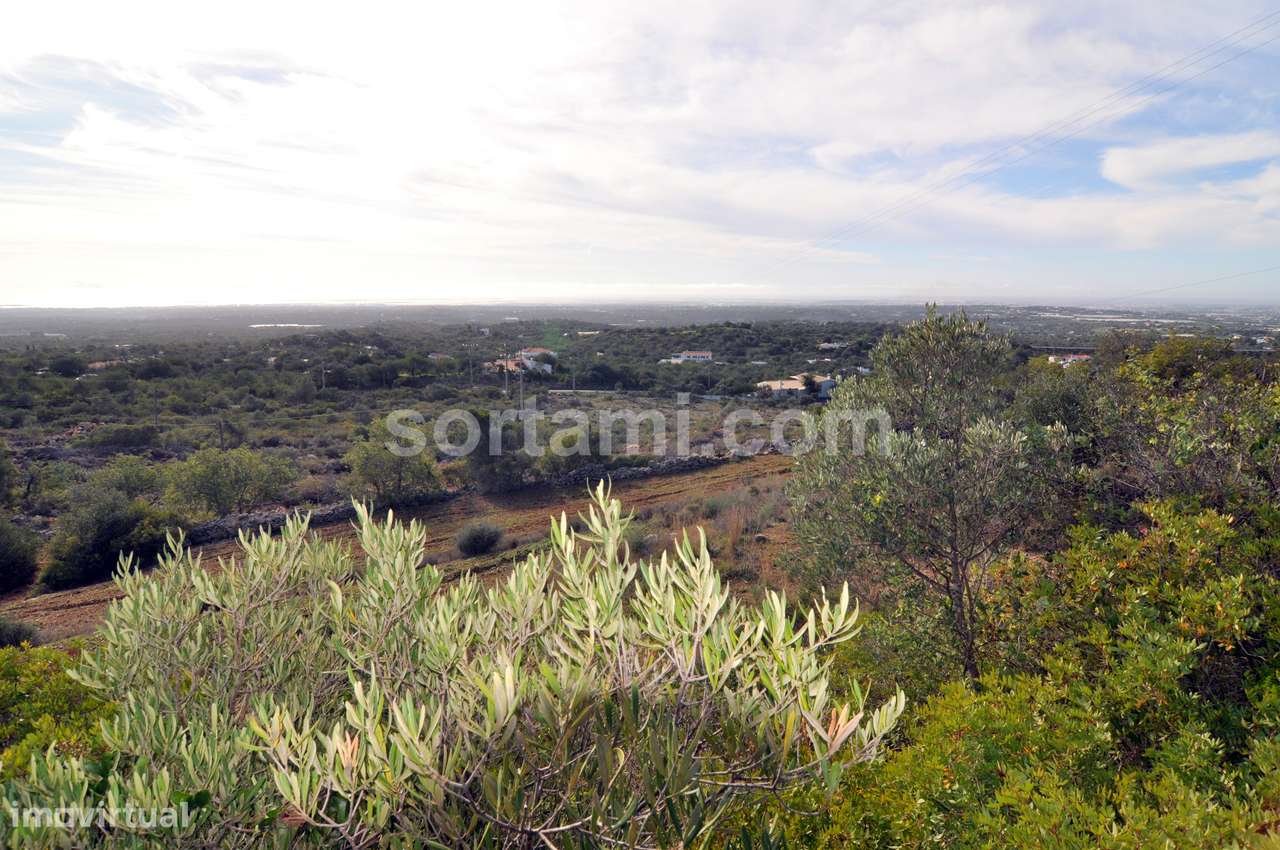 Terreno Rústico  Venda em Conceição e Estoi,Faro - Grande imagem: 2/5