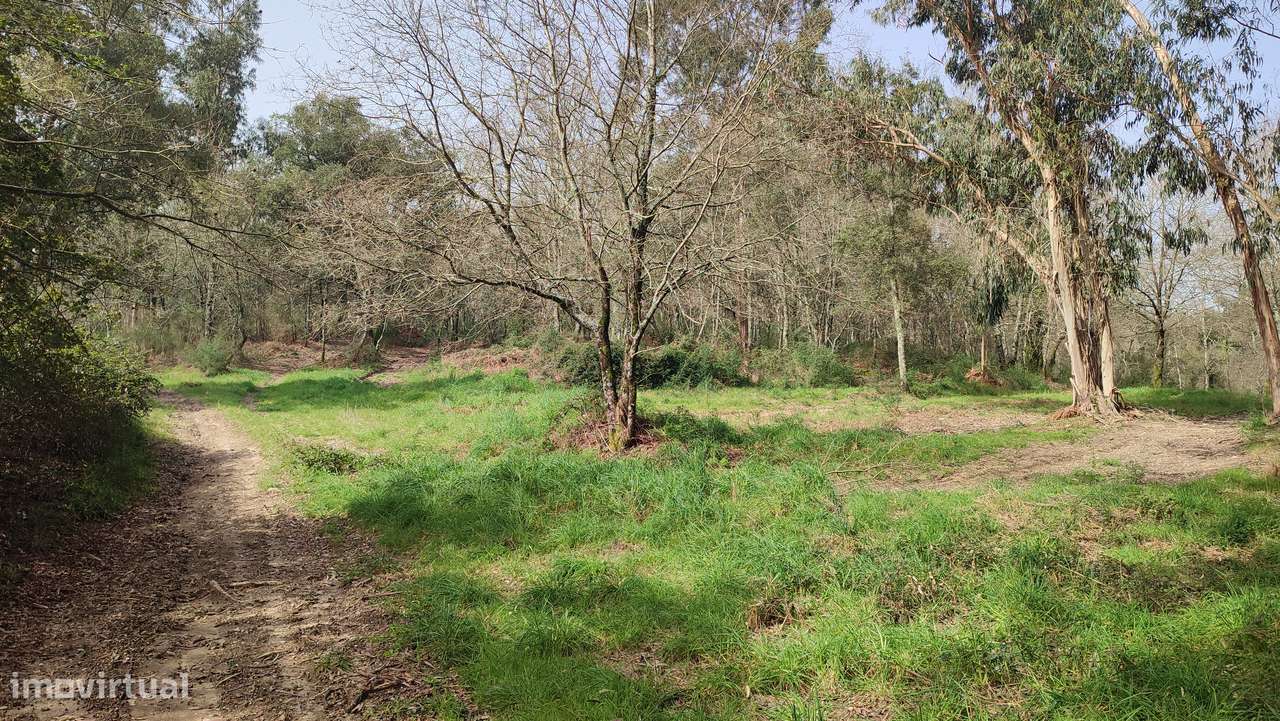 Terreno em Turiz, Vila Verde-12