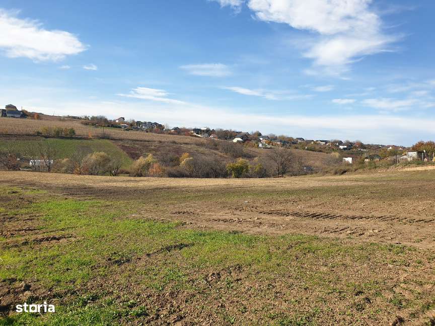 MIROSLAVA - IASI - Loturi teren intravilan - zona Notariat I. Paduraru-8