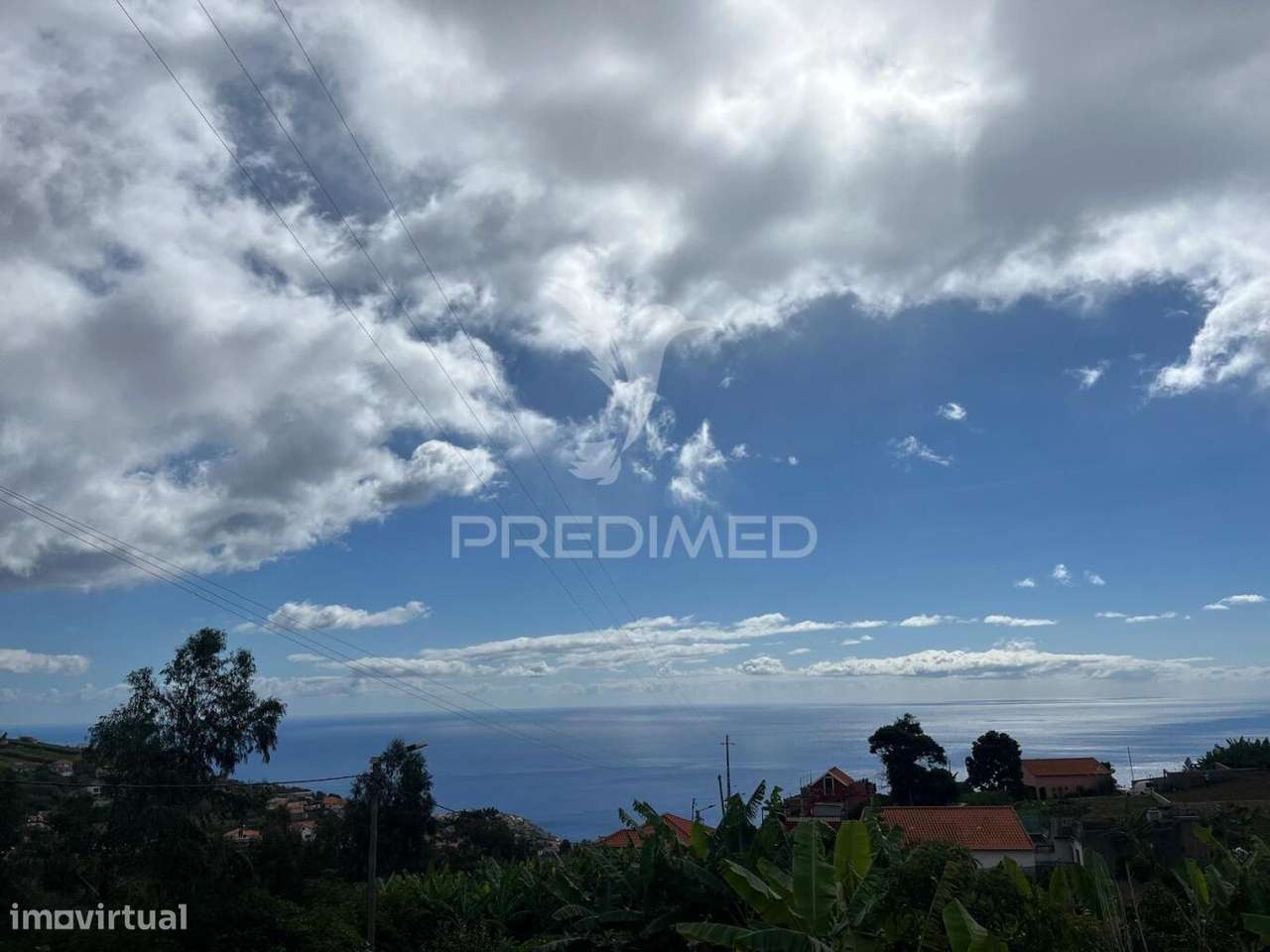 TERRENO E PALHEIRO NOS CANHAS PONTA DO SOL - Grande imagem: 4/9