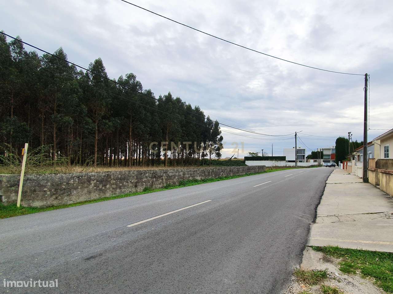 Terreno urbanizável com 20.000m2, entre Aveiro e Ílhavo - Grande imagem: 2/18