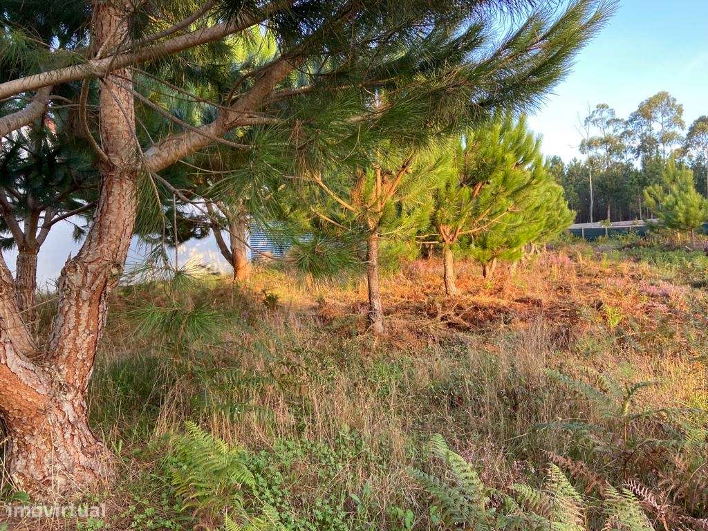 Terreno rustico / Lameira / Ortigosa - Grande imagem: 4/5