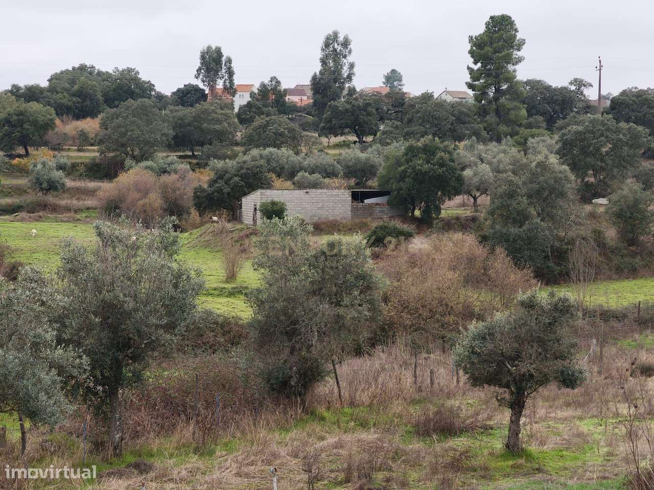 Terreno Rústico com Barragem e Grande Potencial Agrícola – Fundão - Grande imagem: 4/4