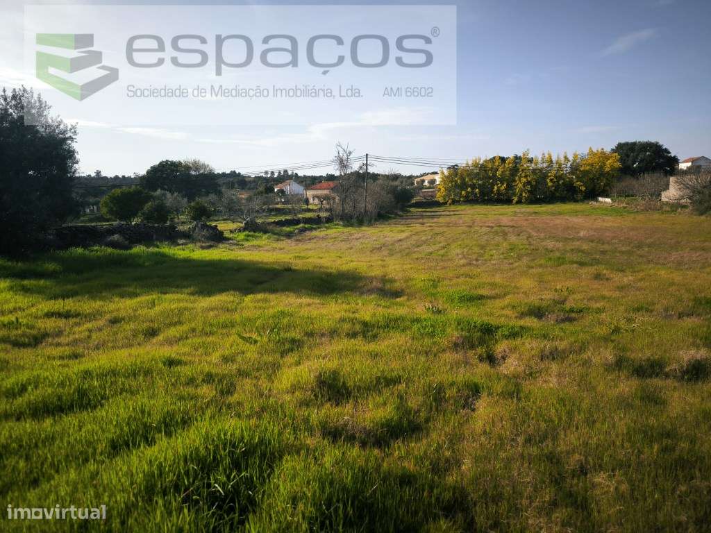 Quinta rural no centro da aldeia - Mata - Grande imagem: 5/10