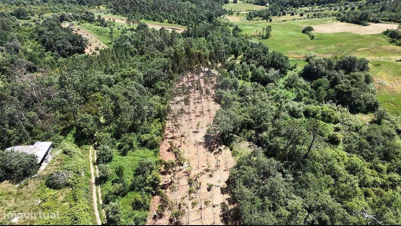 Terreno para venda - Vista 3