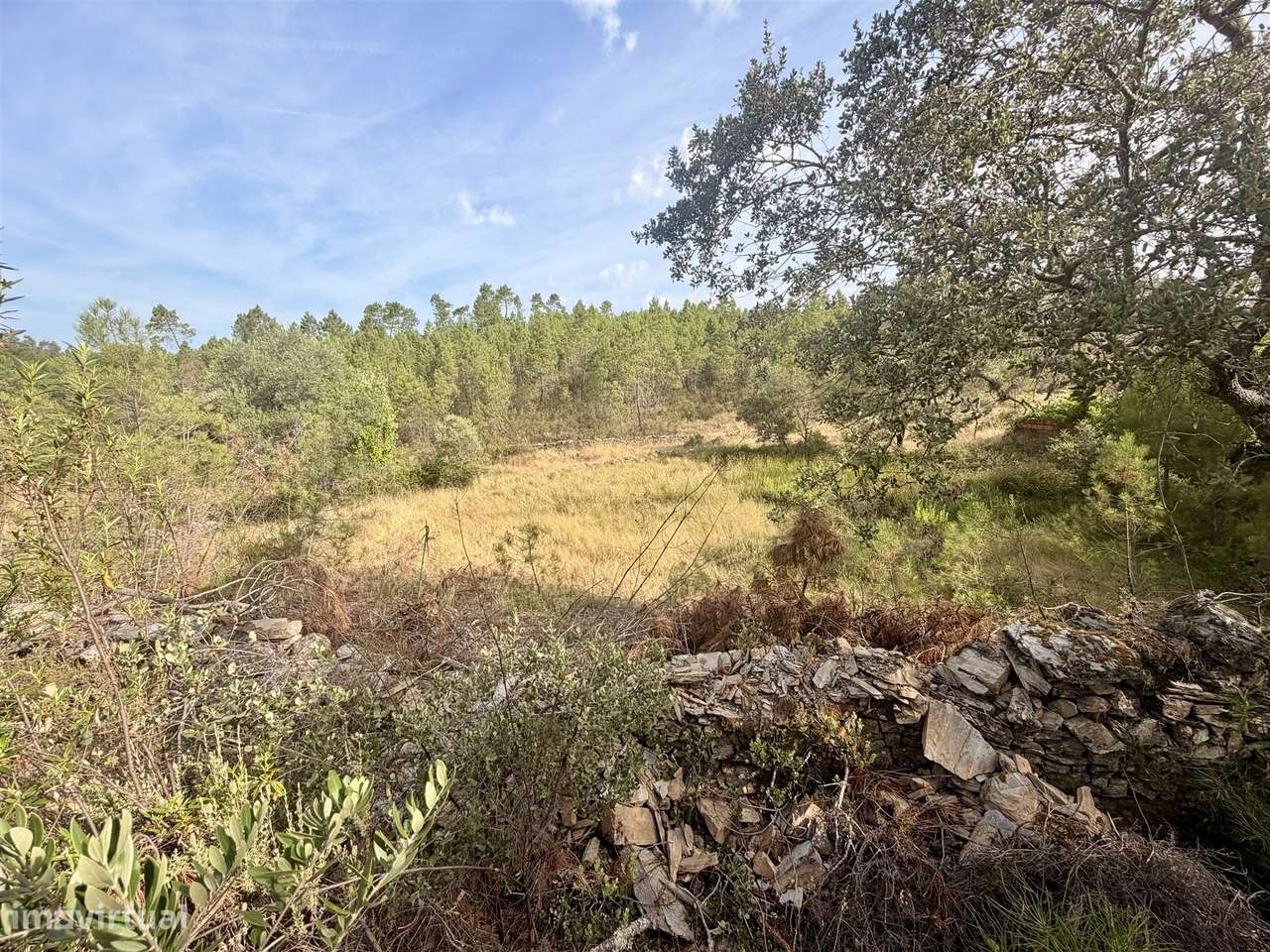 Quinta  Venda em Sarzedas,Castelo Branco-4