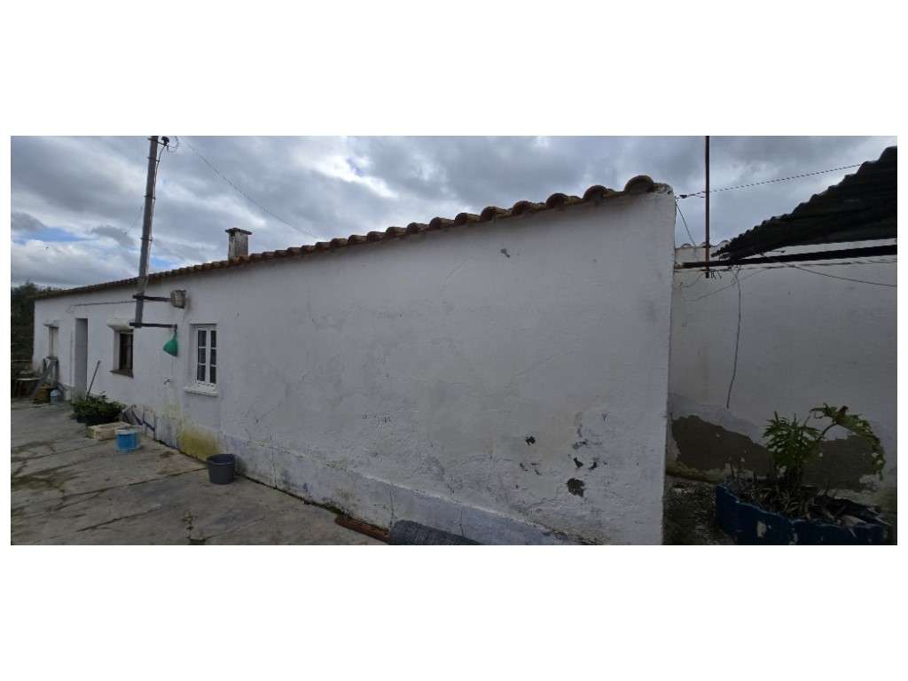 LOTE URBANO c/ 3 Moradias - Grande imagem: 5/34