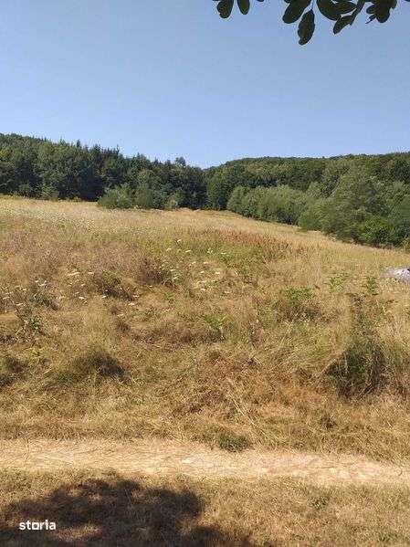 Vând teren Budeasa Mică - Imagine principală: 5/5