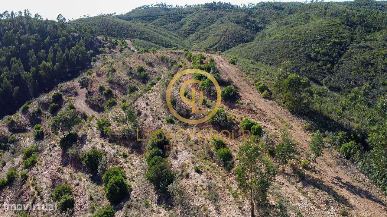 Propriedade de 10 hectares perto da barragem de Odelouca-20