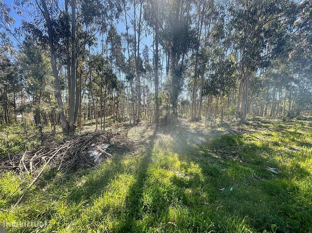 Terreno  para venda - Grande imagem: 3/8