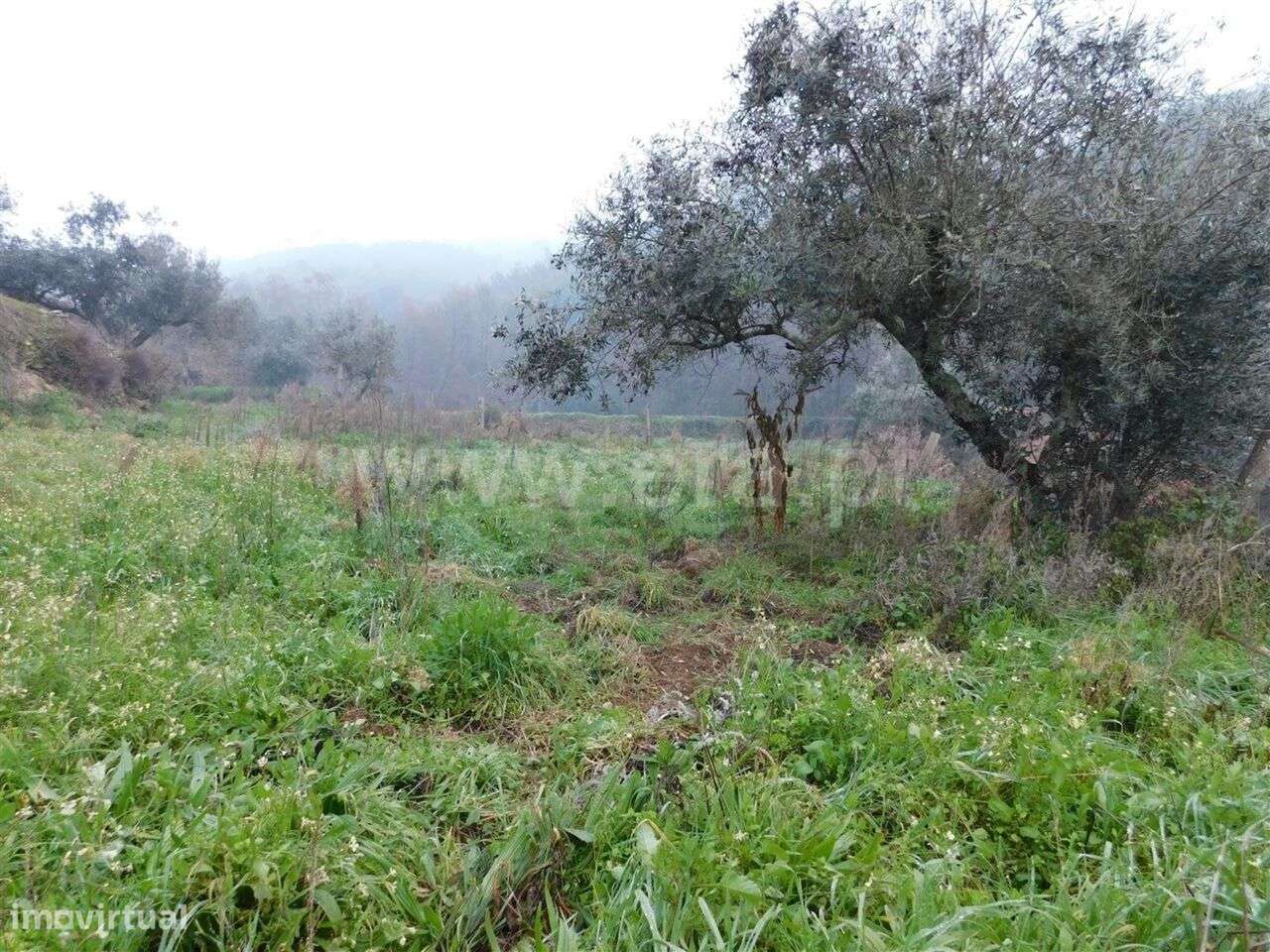 Terreno / Fundão, Souto da Casa - Grande imagem: 3/3