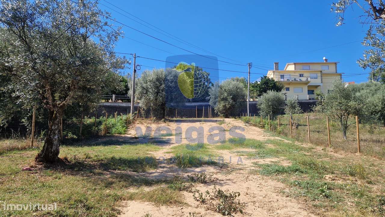 Moradia isolada T2 renovada, com terreno de 700m2 e garagem, em Vermoi-26