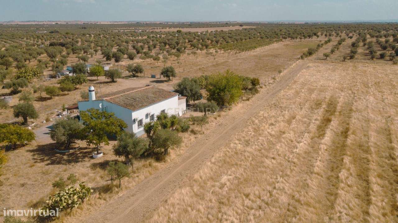 Monte Zorreiras em Mourão - Oportunidade Única no Coração do Alentejo-28