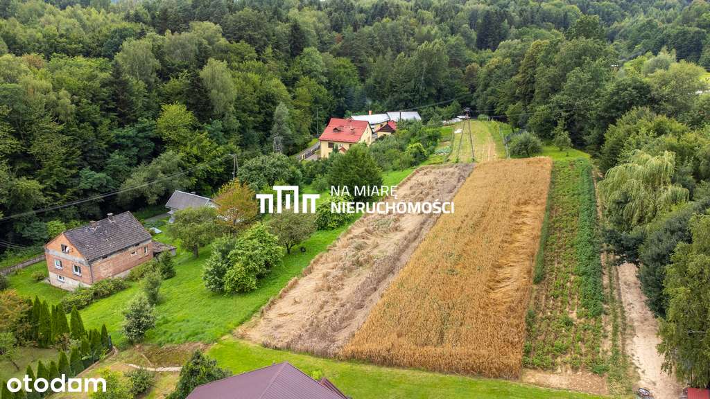 Dom wolnostojący, Duża działka, Do remontu - Pełny obrazek: 5/11