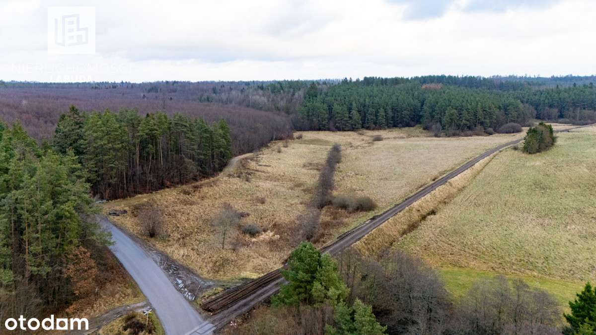 Widokowa działka z WZ przy lesie – Prokowo - Pełny obrazek: 3/7