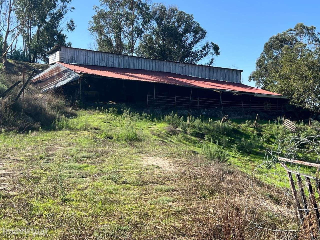 Terreno com 8.600 m2 em Silvares S. Clemente - Grande imagem: 4/10