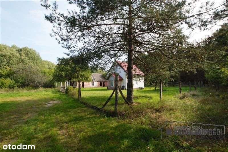 Nieruchomość przy Lesie, w m. Sadkowo, gm. Tychowo - Pełny obrazek: 5/20