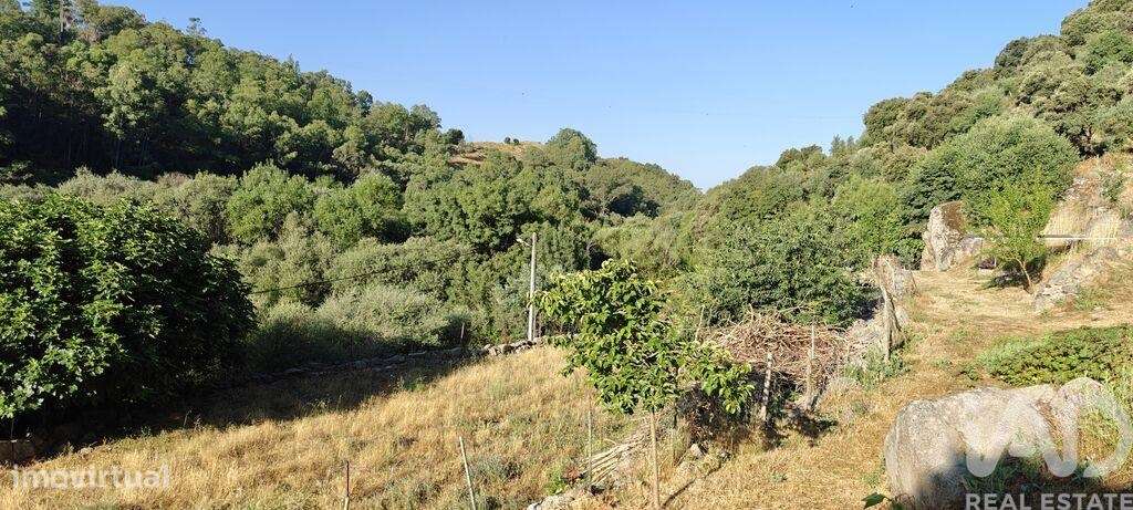 Quinta em Idanha-a-Nova e Alcafozes de 49 m2 - Grande imagem: 4/18