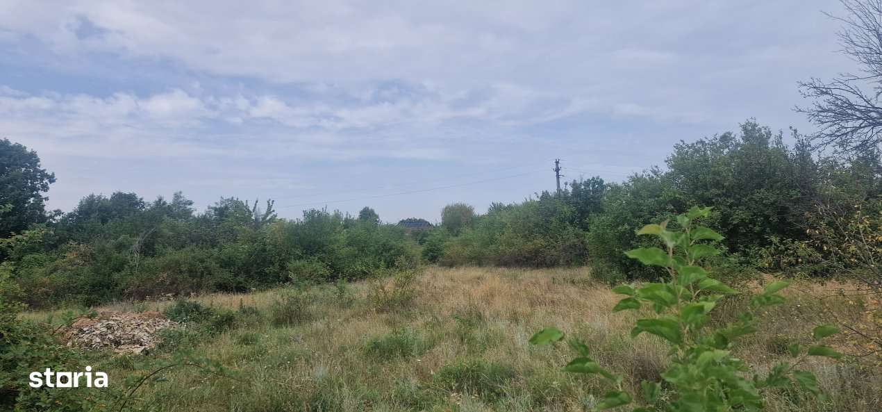 TEREN POIANA LACULUI - Imagine principală: 2/4