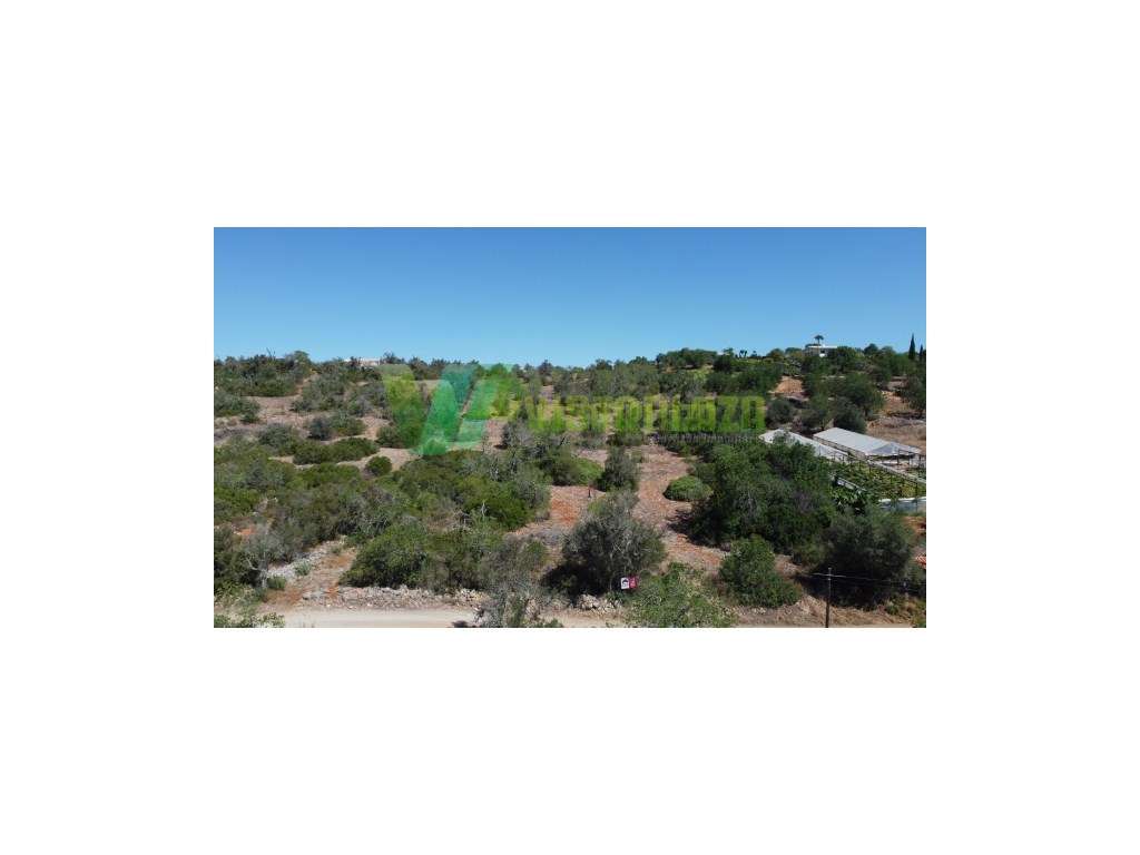 Terreno Rustico, Zona de Bonitos, São Bartolomeu Messines - Grande imagem: 5/9