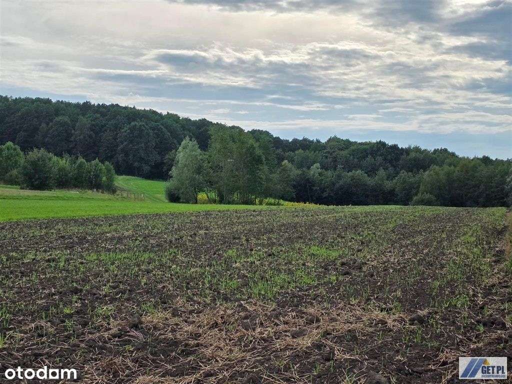 Działka budowlana Sułów 10 arów-6