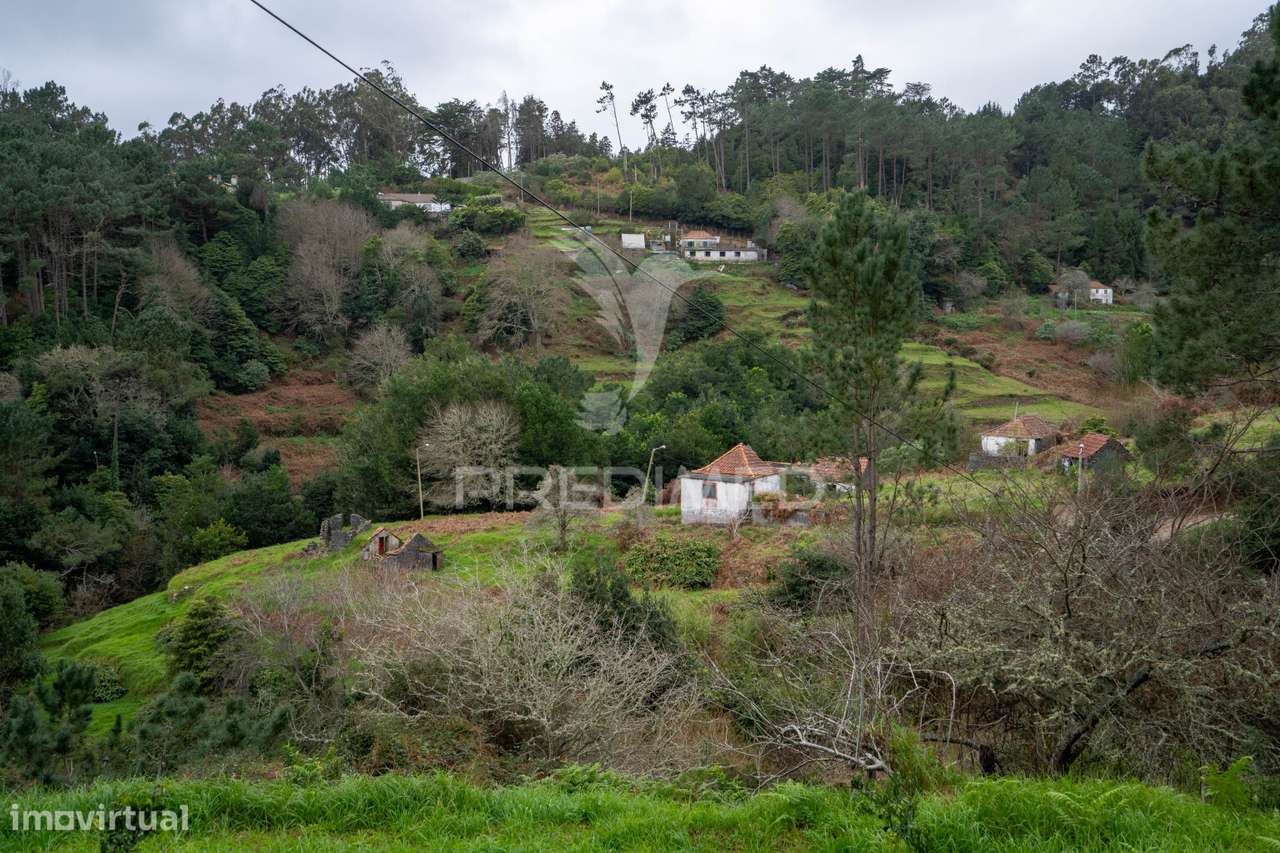 Terreno Na encantadora Freguesia do Santo da Serra Ilha da Madeira - Grande imagem: 4/18