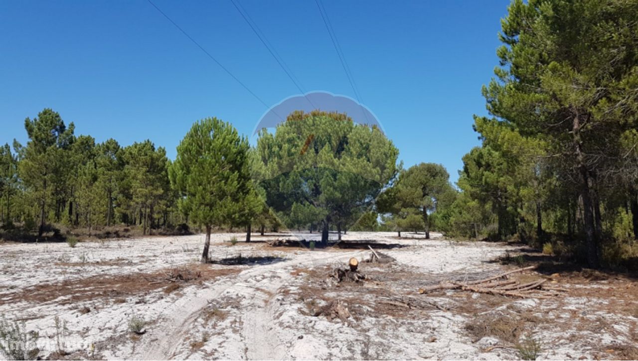 Terreno  para venda