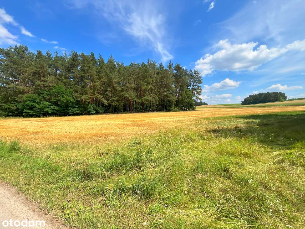 Piękna działka budowlana w środku lasu, 4km od Wisły-7