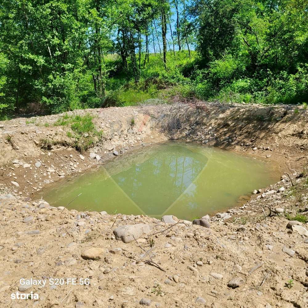 Oază de liniște – teren de vânzare 6.725 mp-4