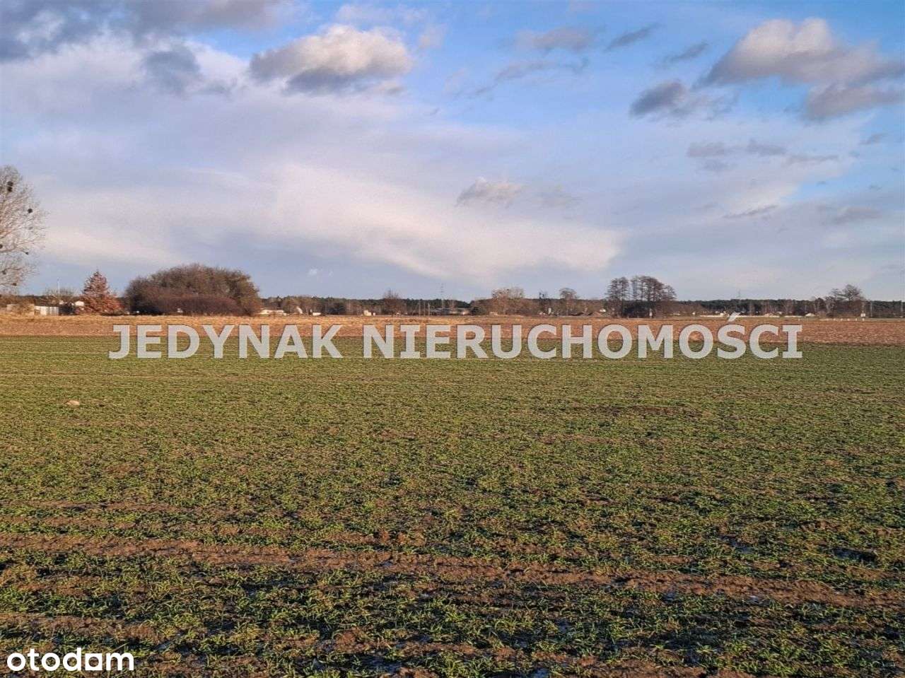 Działka, 1 000 m², Kruszyn Krajeński-3