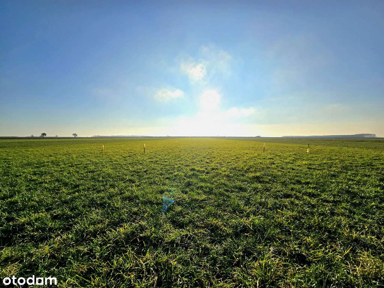 Działki budowlane 900 m2 z WZ | Trzcianna, 9 km do Skierniewic-14